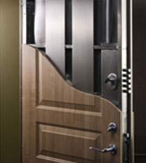 Electronic Security Solutions ESS